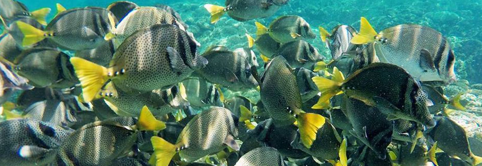 Aventura y Ecoturismo en oaxaca